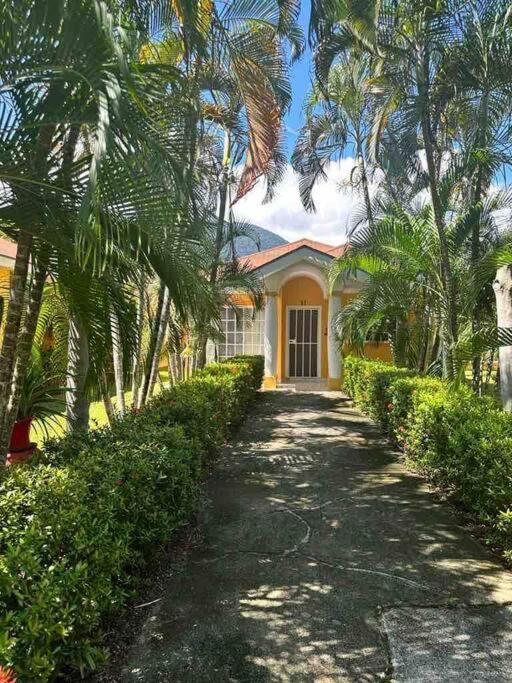 Villa De Ali In Palma Real La Ceiba Dış mekan fotoğraf
