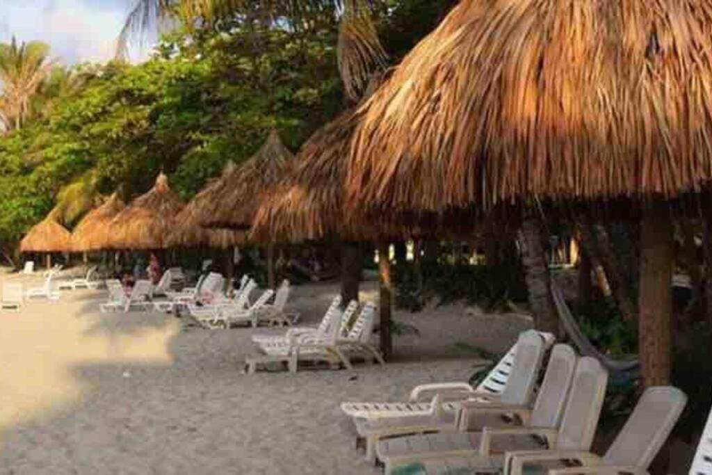 Villa De Ali In Palma Real La Ceiba Dış mekan fotoğraf